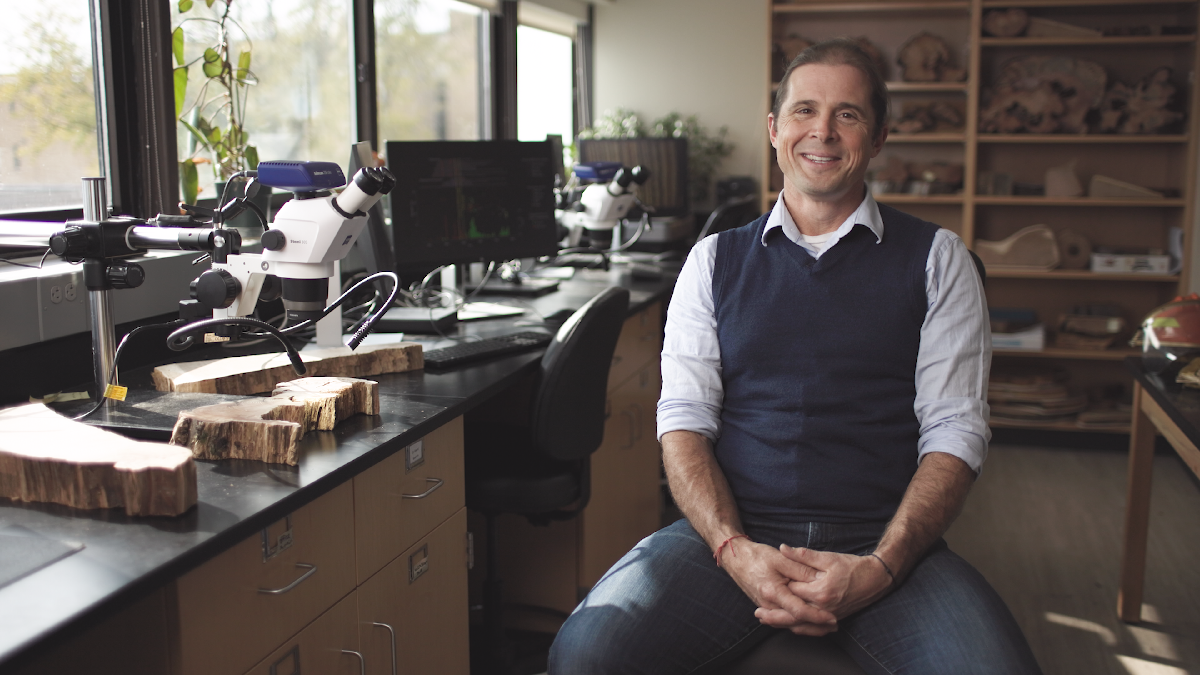A man sits on a stool in a laboratory with microscopes, computer monitors, and wooden samples on the workbench. Shelves with various specimens are in the background.