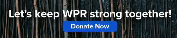 Text Lets keep WPR strong together! Donate Now appears over a background of tall trees. A blue button labeled Donate Now is centered below the main message.