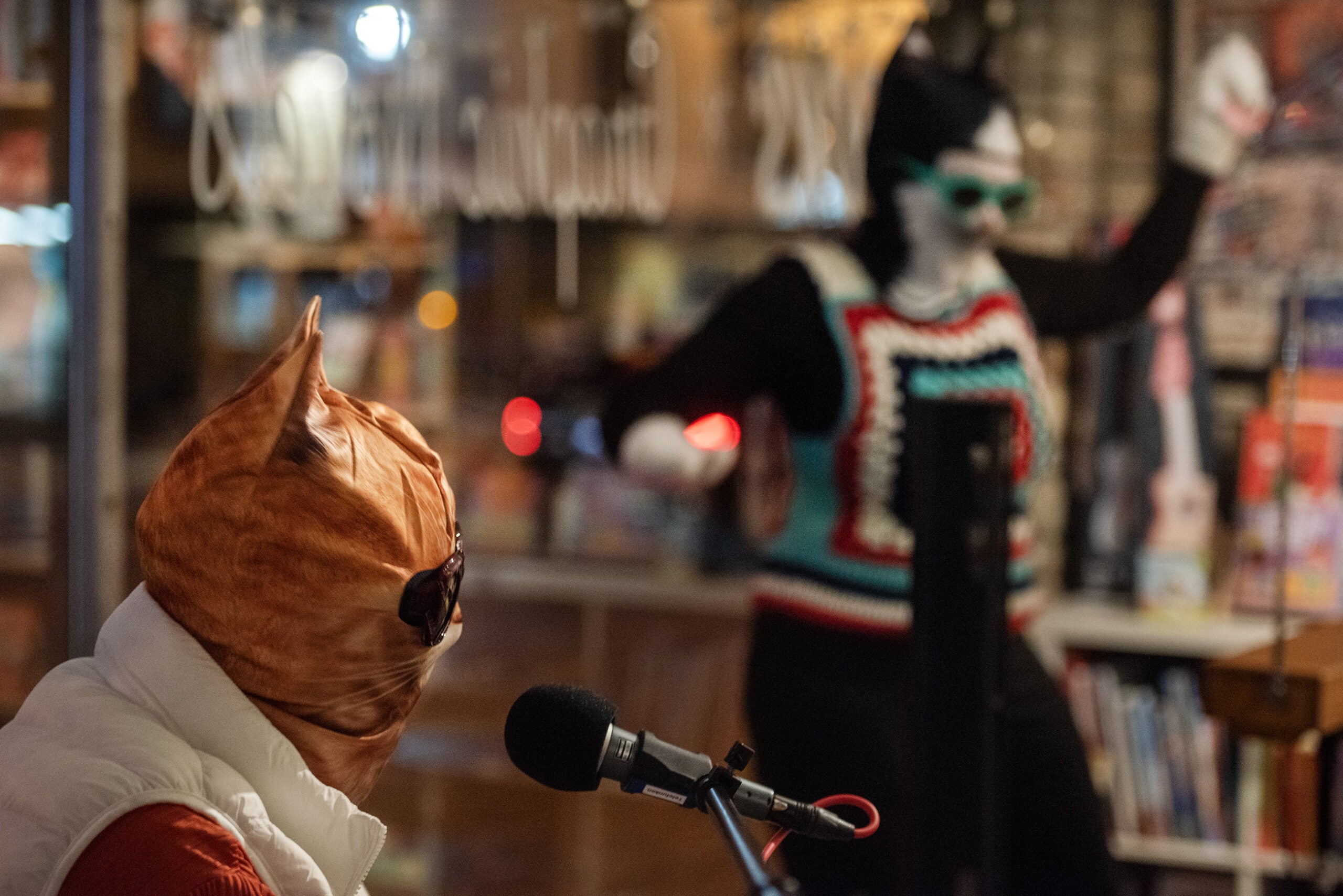 Two people in cat costumes are indoors; one sits at a microphone while the other stands and gestures behind a glass window lined with books.