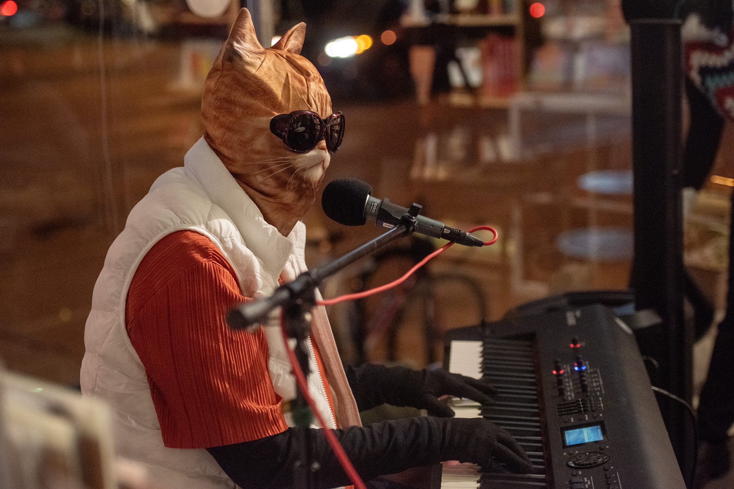 A person wearing a cat mask, sunglasses, gloves, and a white vest plays a keyboard and sings into a microphone at an indoor venue.