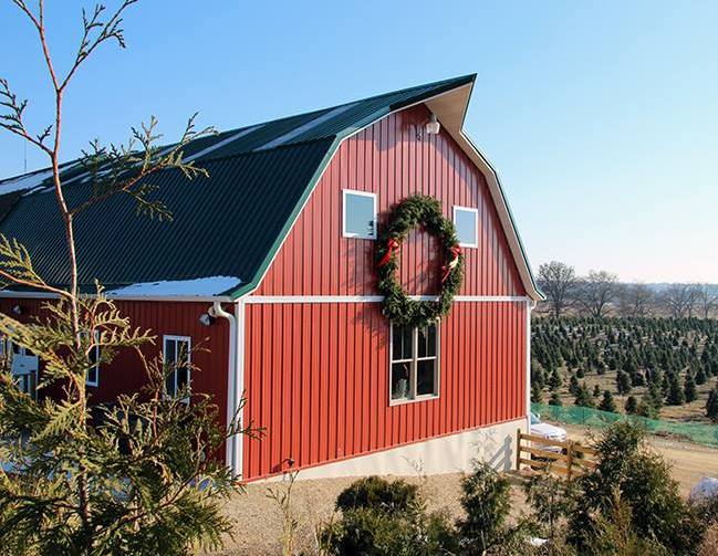 How tariffs are affecting Wisconsin’s real and artificial Christmas trees