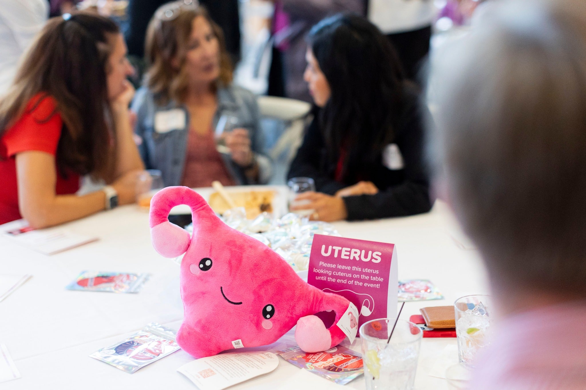 Fox Valley group aims to end stigma on menstruation. Period.