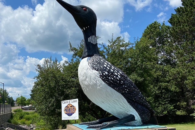 Large black and white loon statue sits outdoors near trees and a sign reading “Claire d’ Loon” and “Mercer,” with a cloudy sky in the background.