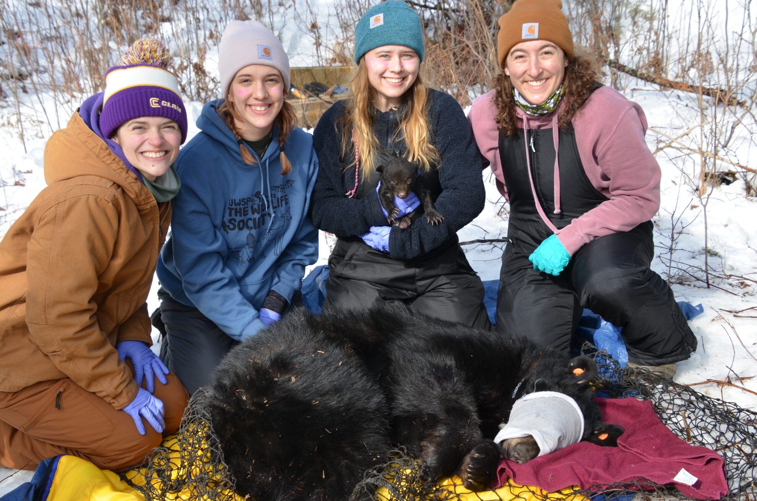 Four people in winter clothing kneel behind a tranquilized black bear and cub, both wrapped in nets, in a snowy outdoor setting. One person holds the cub; all are smiling at the camera.