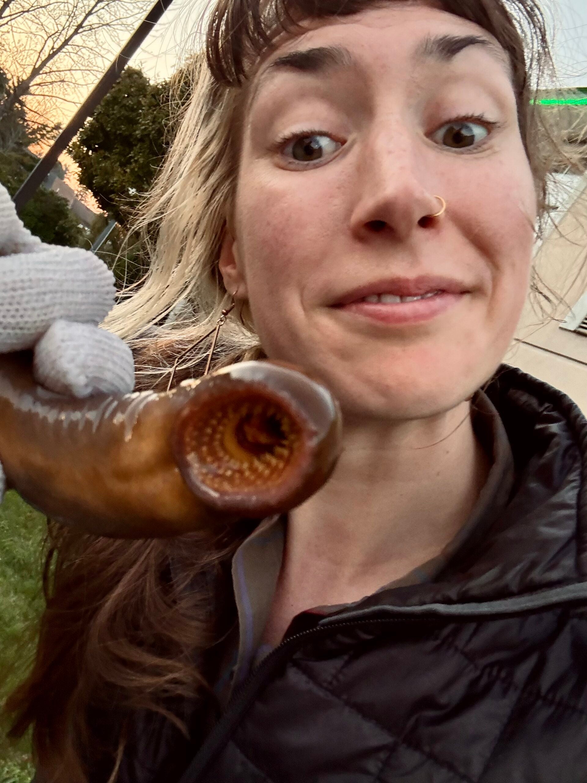 A person holding a lamprey close to their face, showing the lampreys circular mouth with concentric rows of teeth.