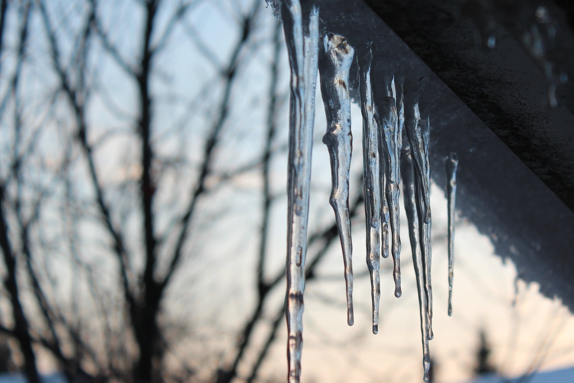 Close-up of several icicles hanging from the edge of a roof with bare tree branches and a soft, cloudy sky in the background.