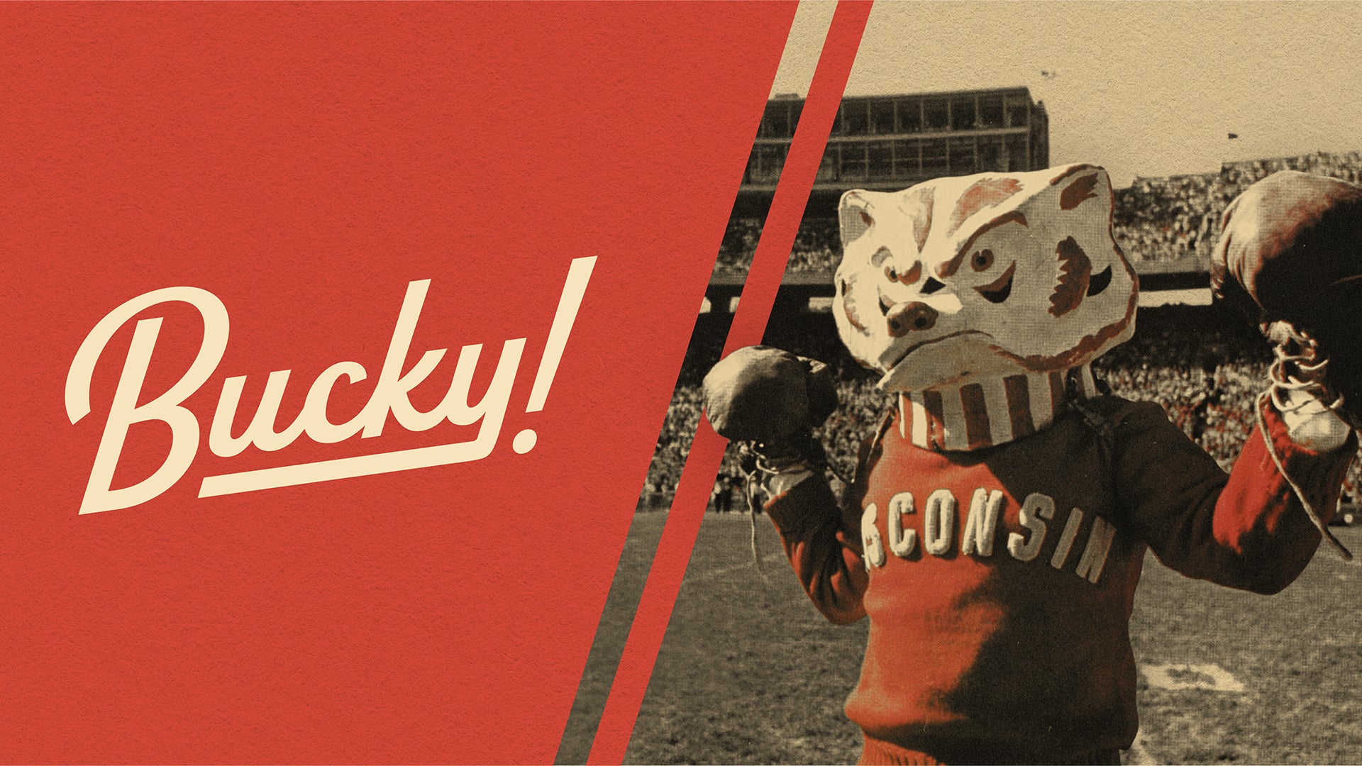 Split image with Bucky! in script on the left and a vintage photo of Wisconsin Badgers mascot Bucky Badger at a stadium on the right, wearing boxing gloves and a “Wisconsin” sweater.