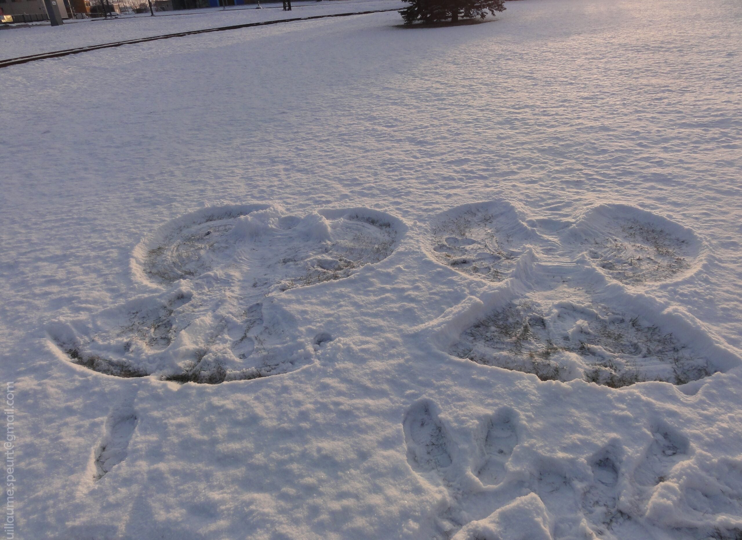 Two snow angels are visible in a thin layer of snow on the ground, with some grass showing through and footprints nearby.