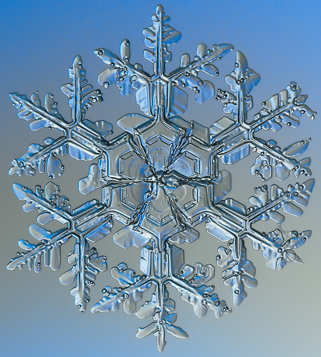 Close-up view of a single, intricately detailed snowflake with symmetrical, crystalline patterns against a blue background.
