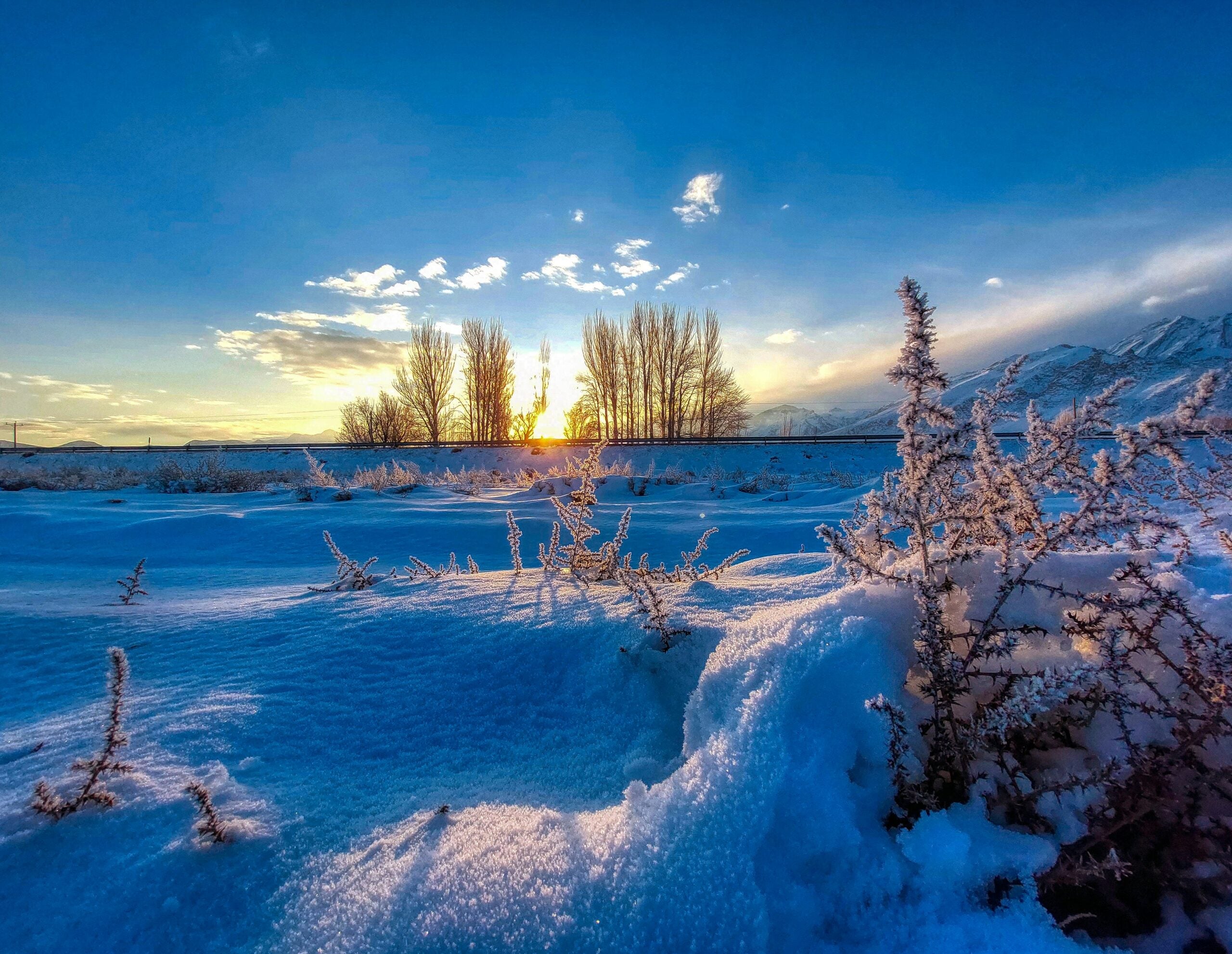 Solstice Trio Encore