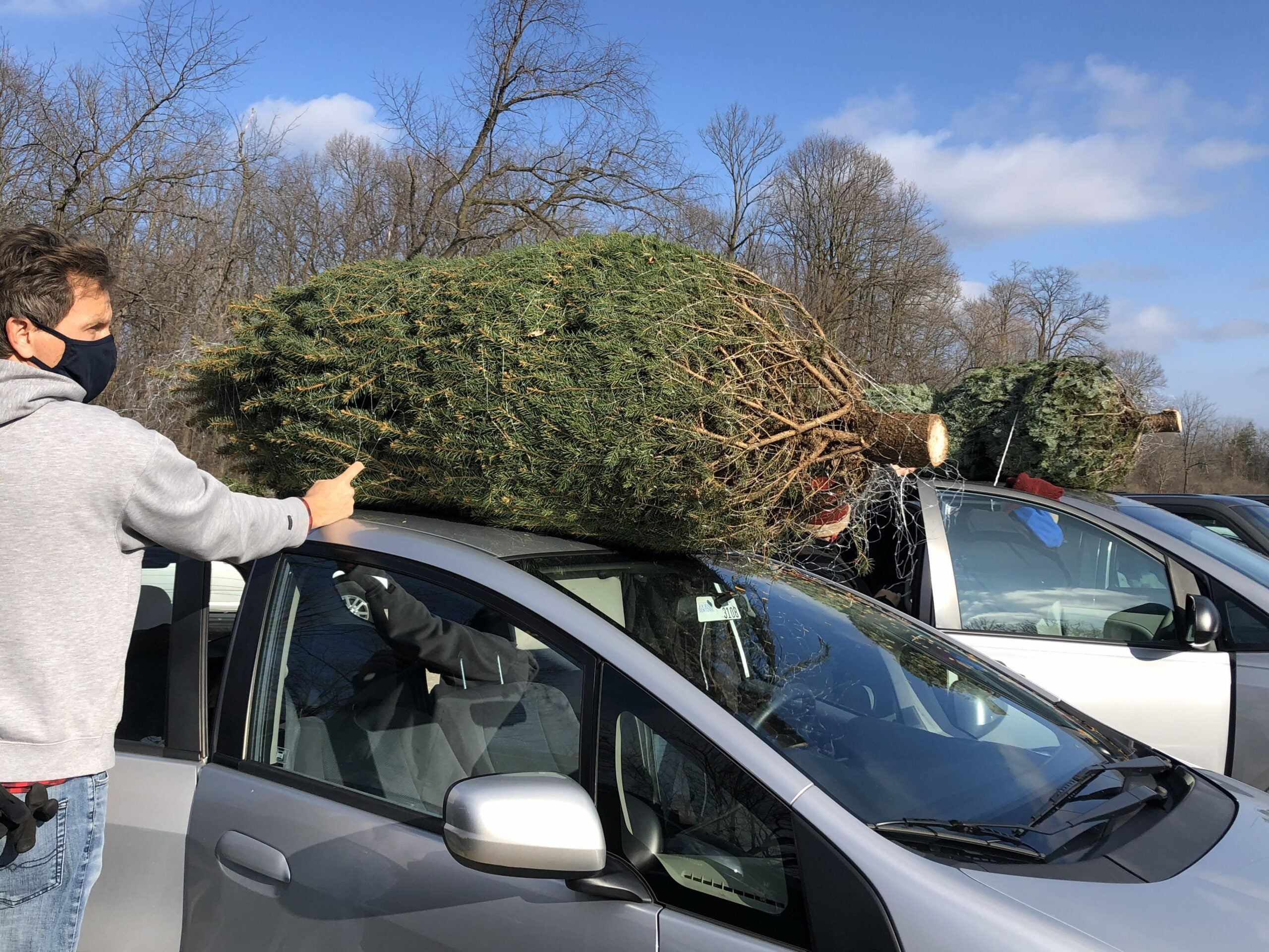 ‘Oh Christmas Tree’: One family’s holiday fiasco