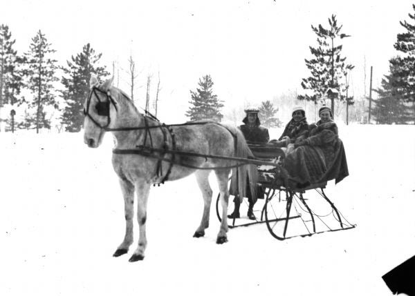 Three people sit in a horse-drawn sleigh on a snowy landscape, with pine trees in the background.