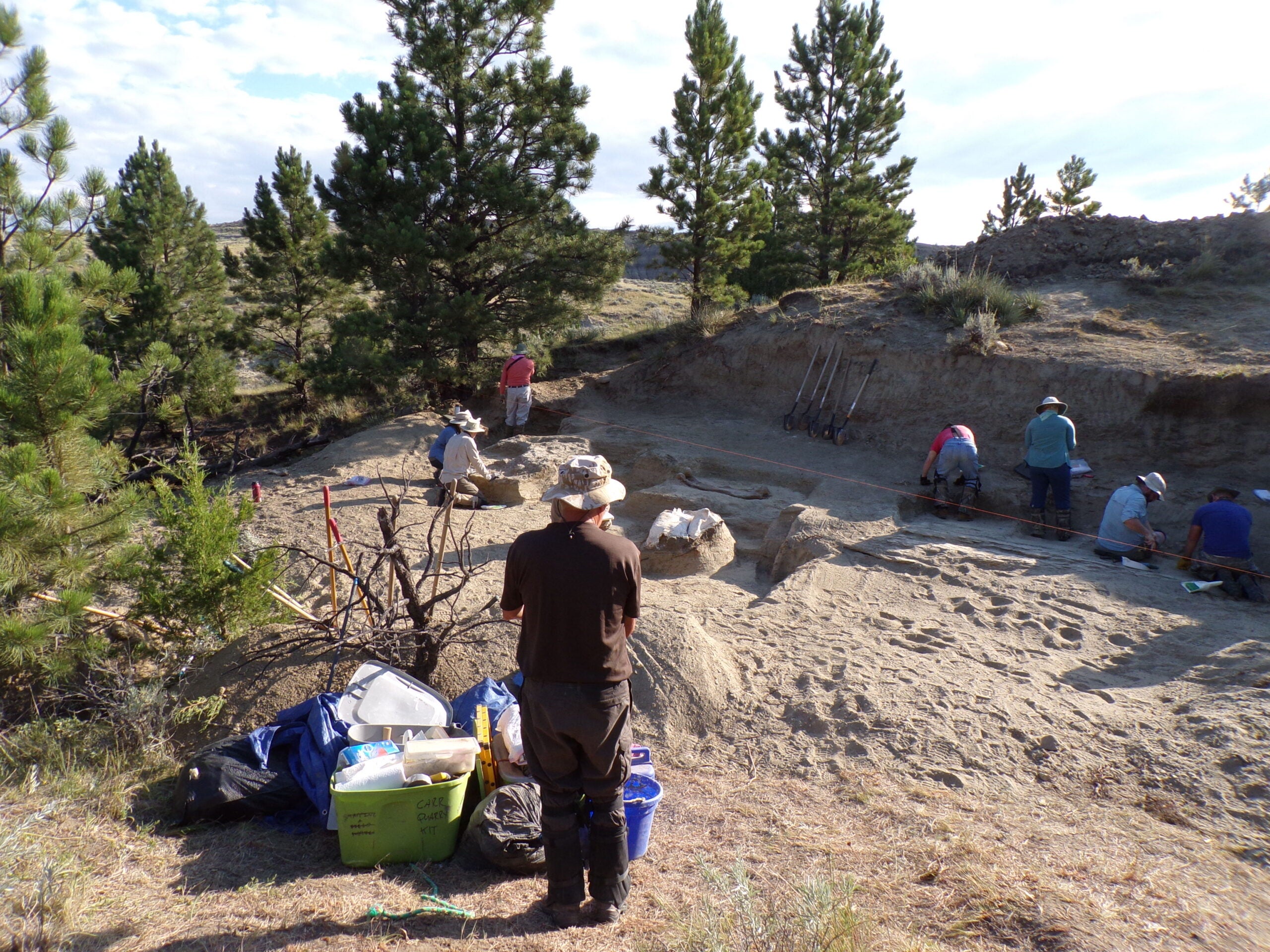 ‘The fossils won’t be going to Kenosha anymore’: Unique fossil hunting program at liberal arts college ends