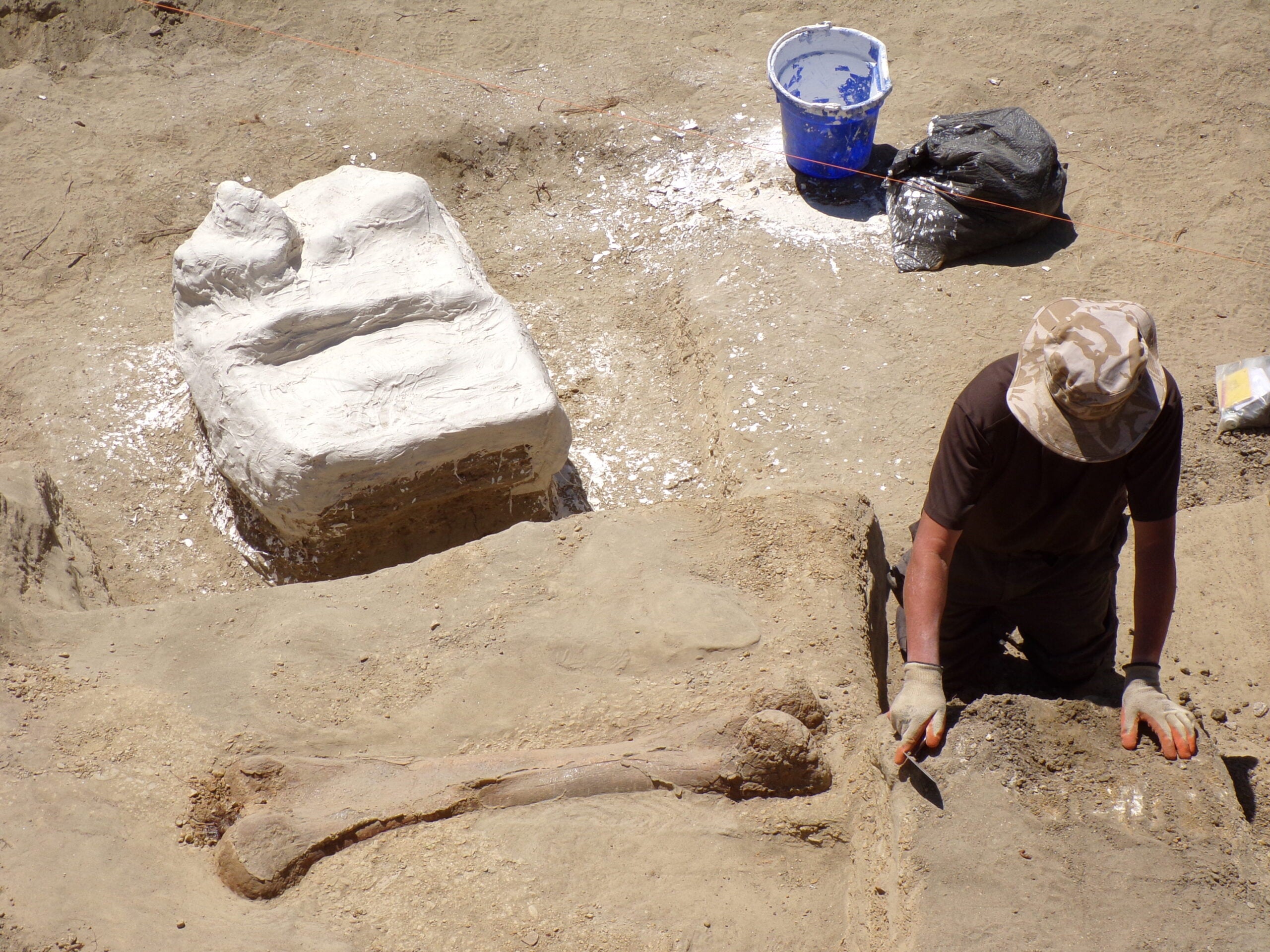 An archaeologist excavates a large fossilized bone in sandy soil; a plaster-jacketed fossil and excavation tools are nearby.