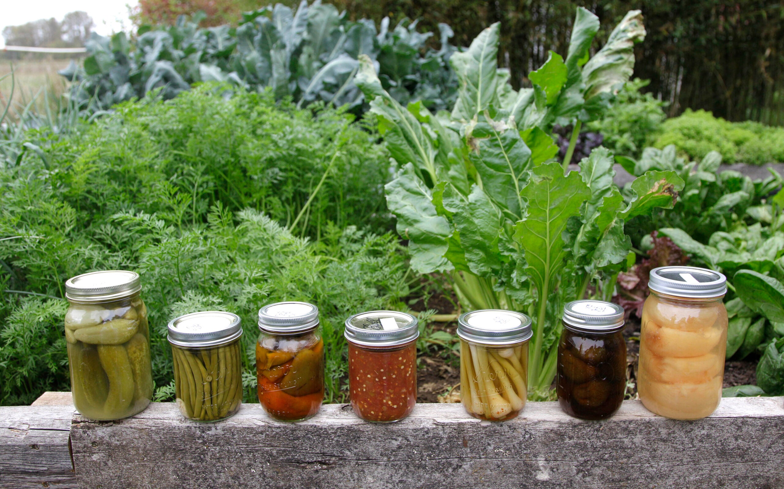 Seven jars of home-canned vegetables and fruits are lined up on a wooden plank in front of a lush vegetable garden.