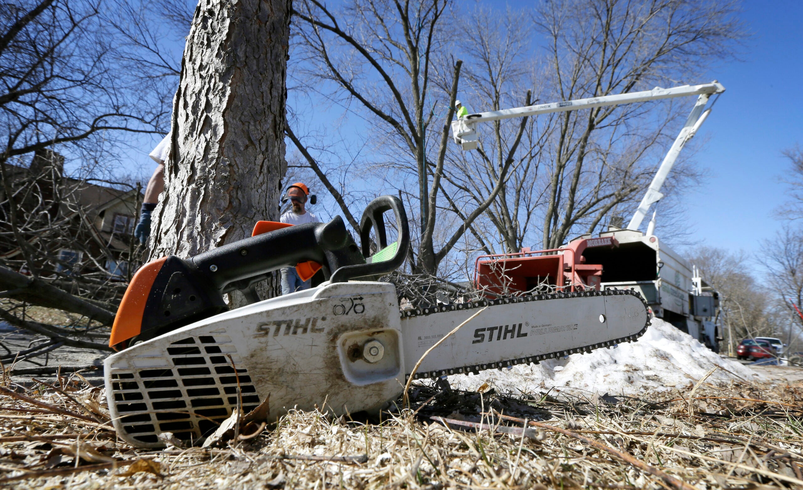 Wisconsin arborist is teaching more women about chainsaw safety and tree climbing