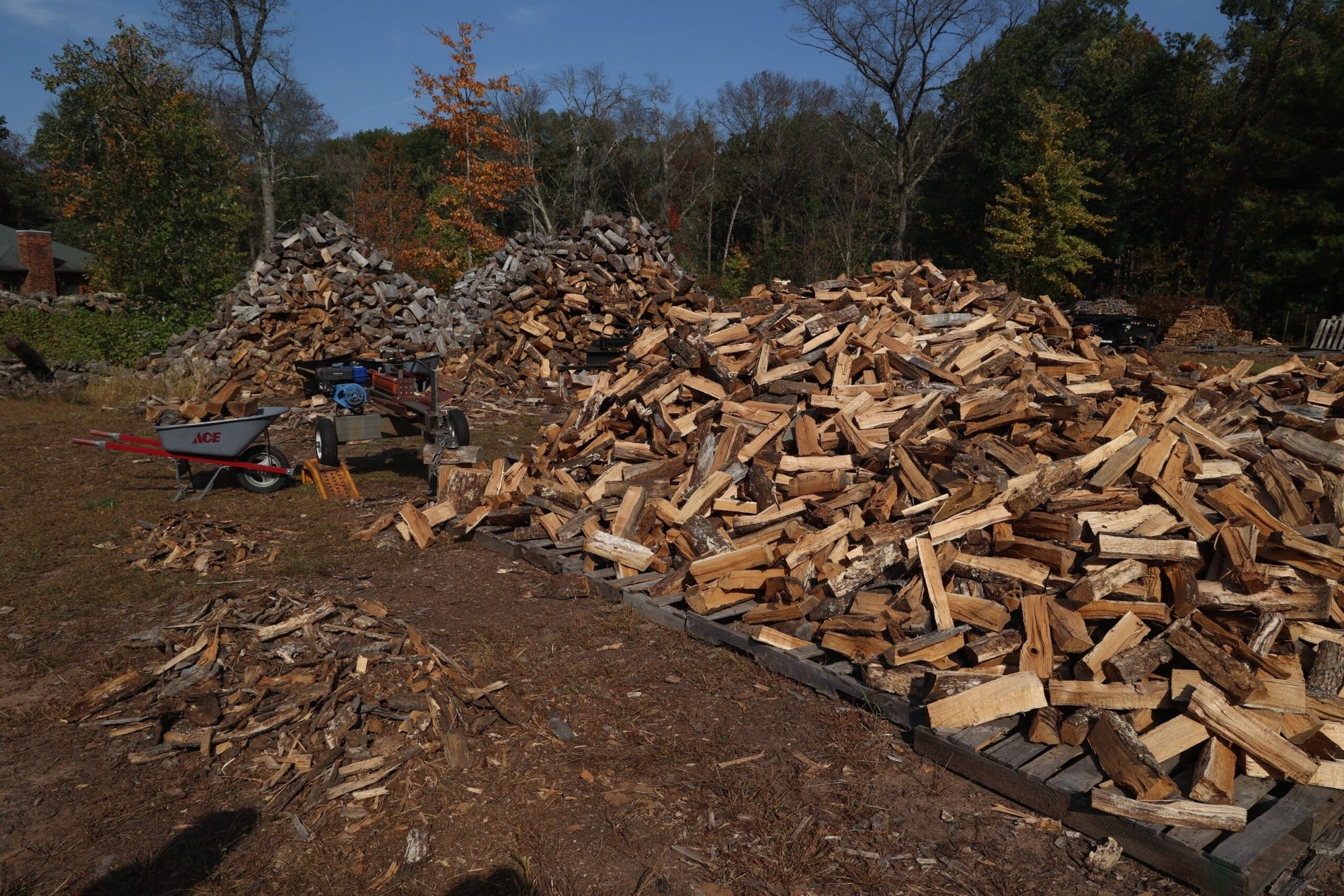 Large piles of chopped firewood stacked outdoors, with a wheelbarrow and log splitter nearby, surrounded by trees under a clear sky.