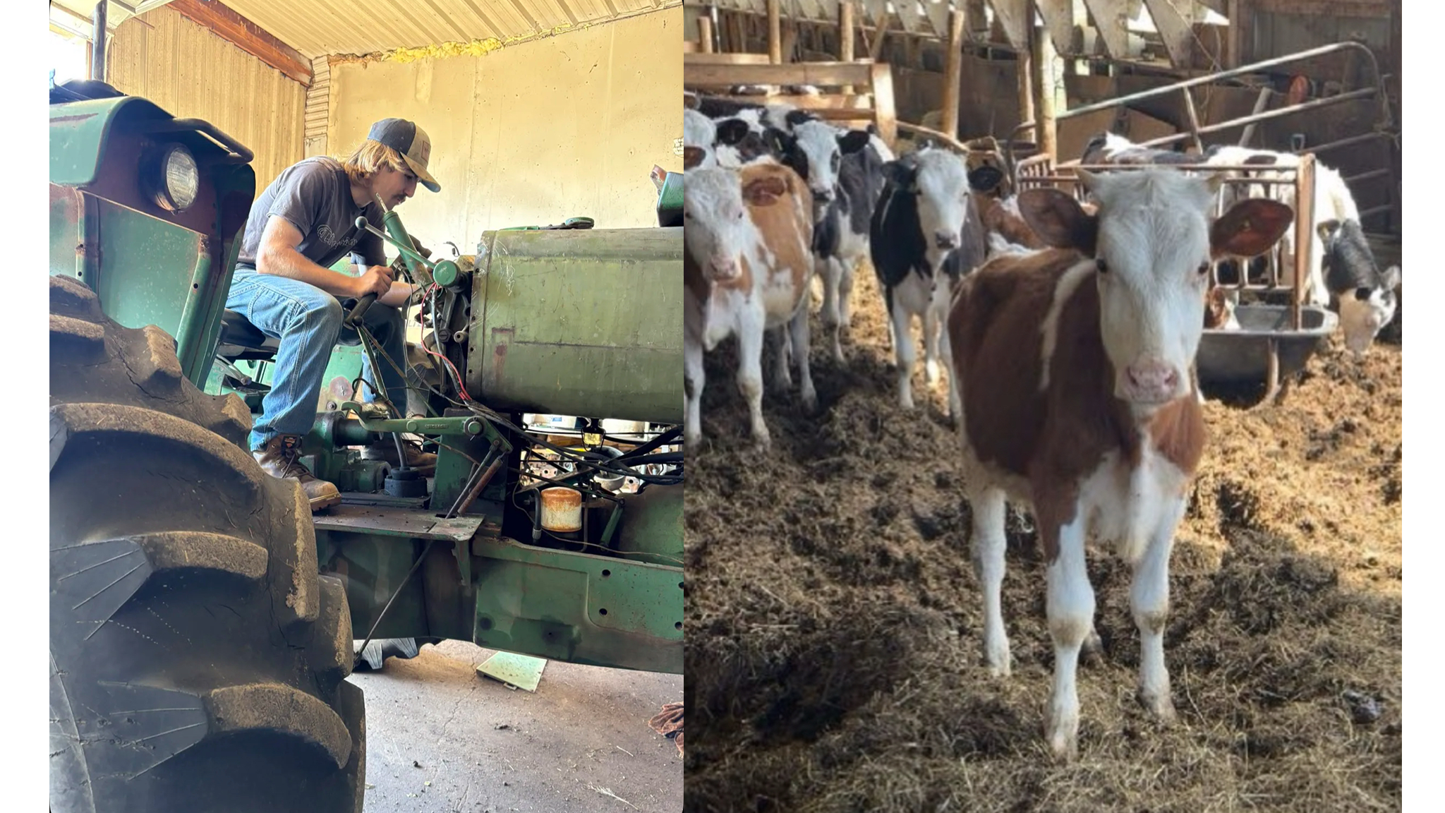 Pursuing a farming dream after high school