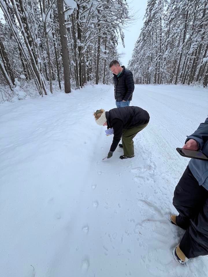 Three people stand on a snow-covered road in a forest; one person bends down to examine animal tracks in the snow.